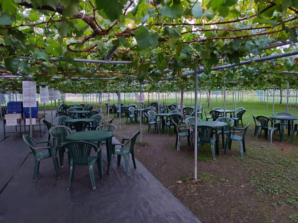 2025年10月3日(金)