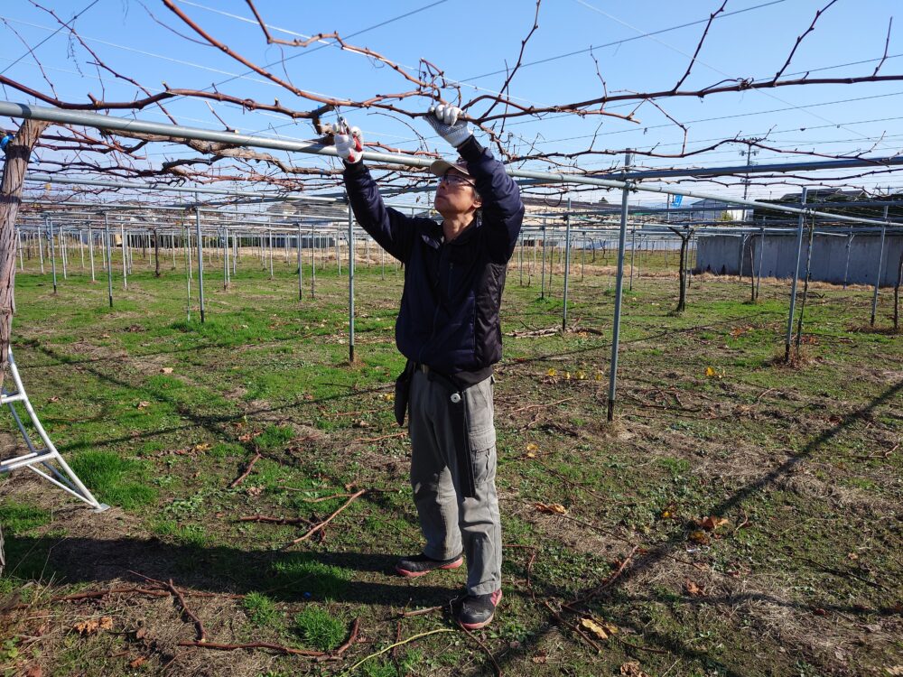 2025年11月30日(日)