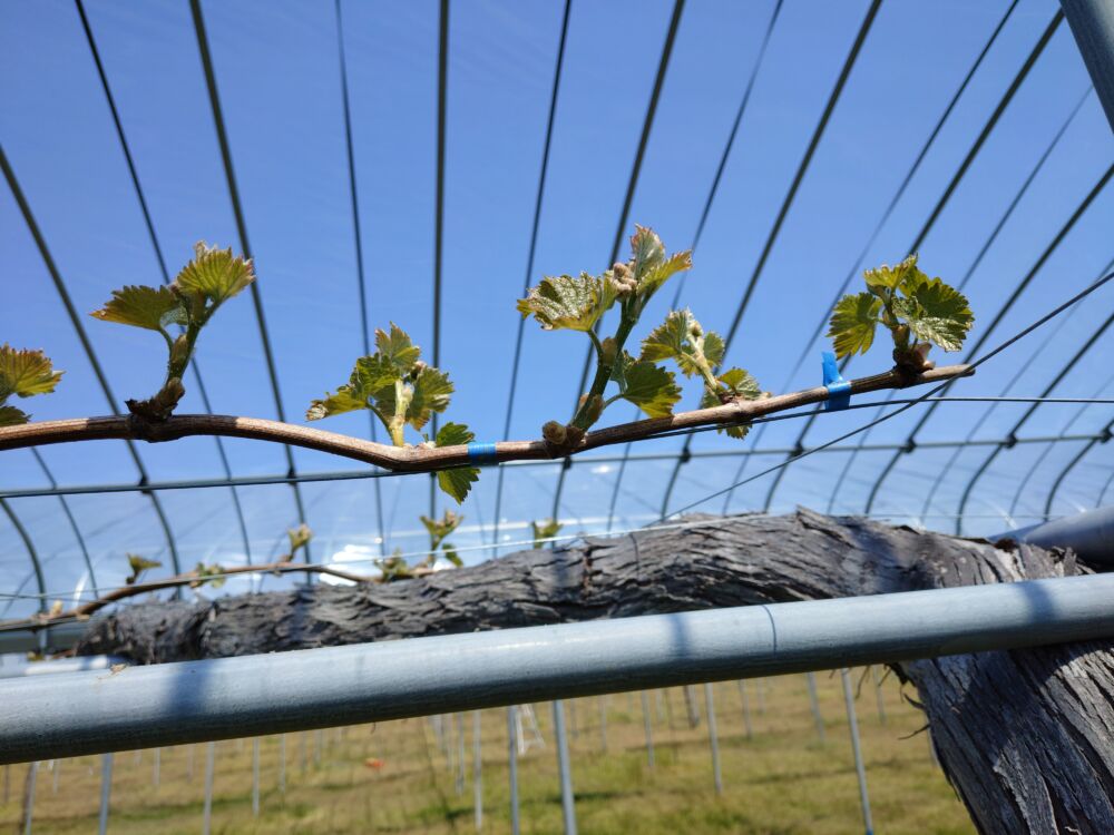 2026年4月25日(土)